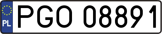 PGO08891
