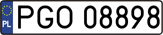 PGO08898
