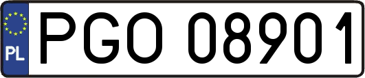 PGO08901