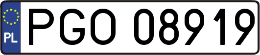 PGO08919