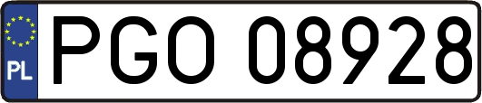 PGO08928