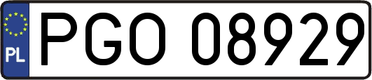 PGO08929