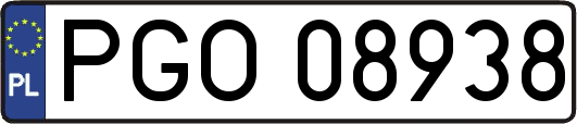PGO08938