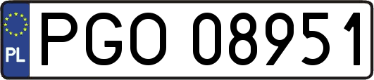 PGO08951