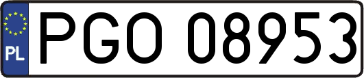 PGO08953