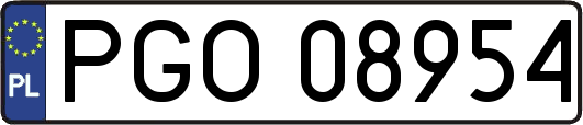 PGO08954