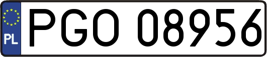 PGO08956