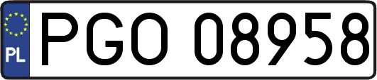 PGO08958