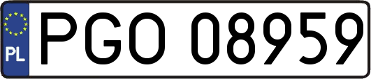 PGO08959