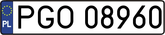 PGO08960