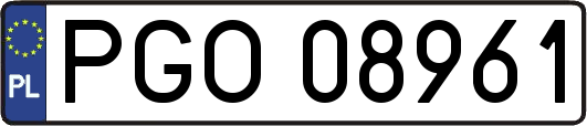 PGO08961
