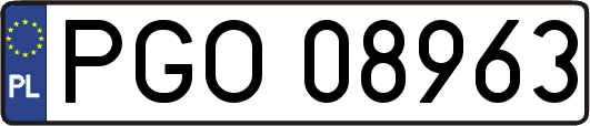 PGO08963