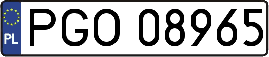 PGO08965