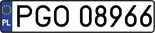 PGO08966