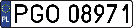 PGO08971