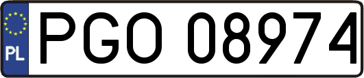 PGO08974