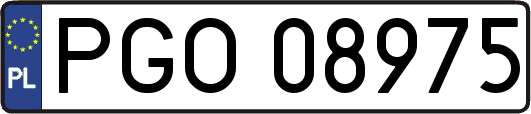 PGO08975
