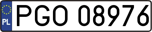 PGO08976