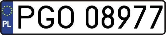 PGO08977