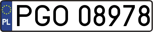 PGO08978