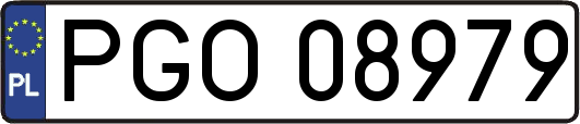 PGO08979