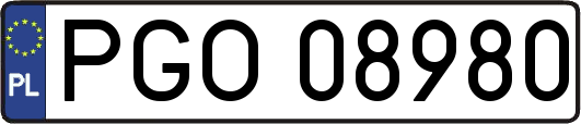 PGO08980