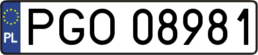 PGO08981