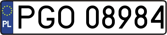 PGO08984