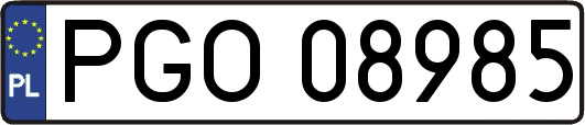 PGO08985