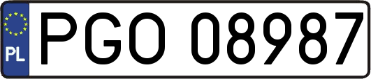 PGO08987