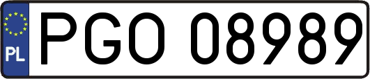 PGO08989