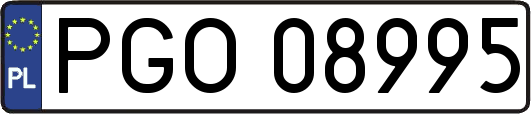 PGO08995