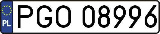 PGO08996