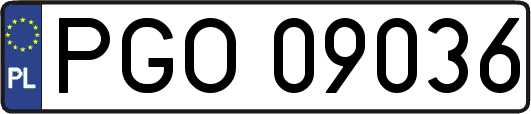 PGO09036