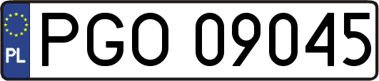 PGO09045