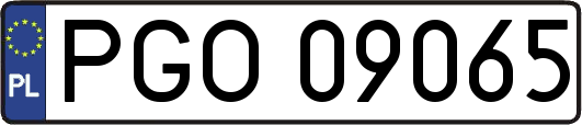 PGO09065