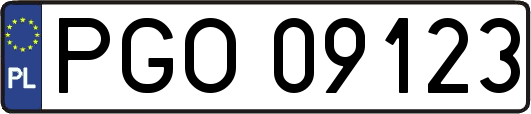 PGO09123
