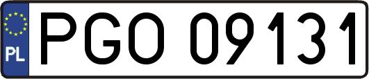PGO09131