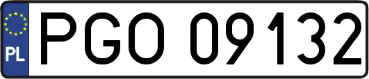 PGO09132