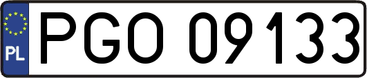 PGO09133