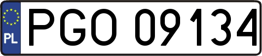 PGO09134