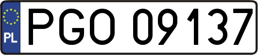PGO09137