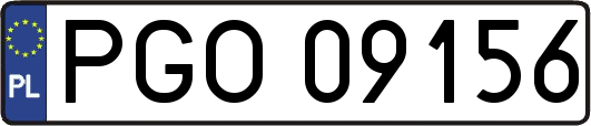 PGO09156