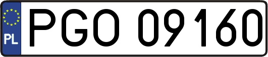 PGO09160