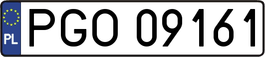 PGO09161