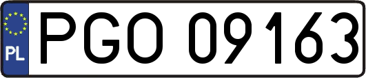 PGO09163