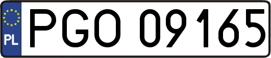 PGO09165