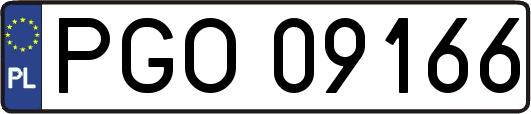PGO09166