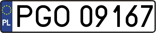 PGO09167