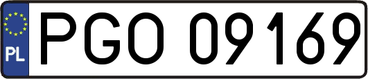 PGO09169